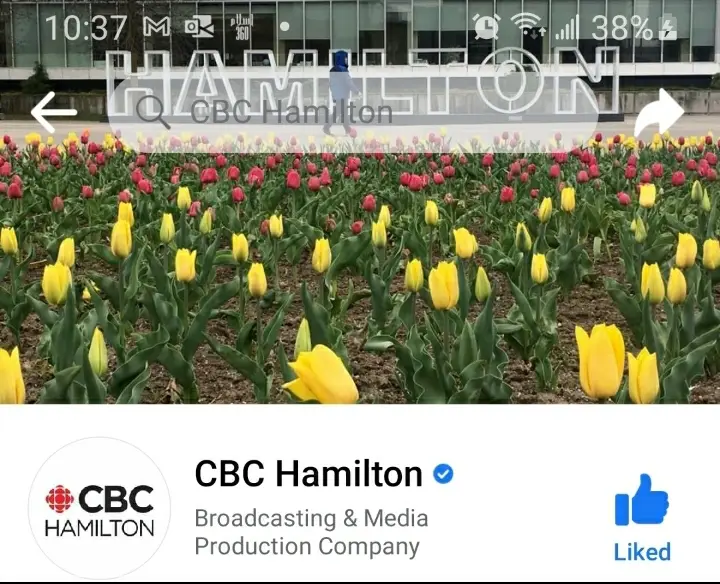 CBC Hamilton business card